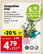 plantes 