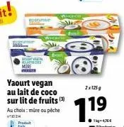 mure ou pêche falk : yaourt vegan au lait de coco à 19,11€ - 2x125g