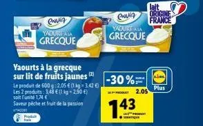 yaourts à la grecque sur lit de fruits jaunes - pêche/fruit de la passion - 2 pour 3,48 €!