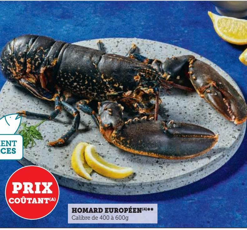 HOMARD EUROPEEN 