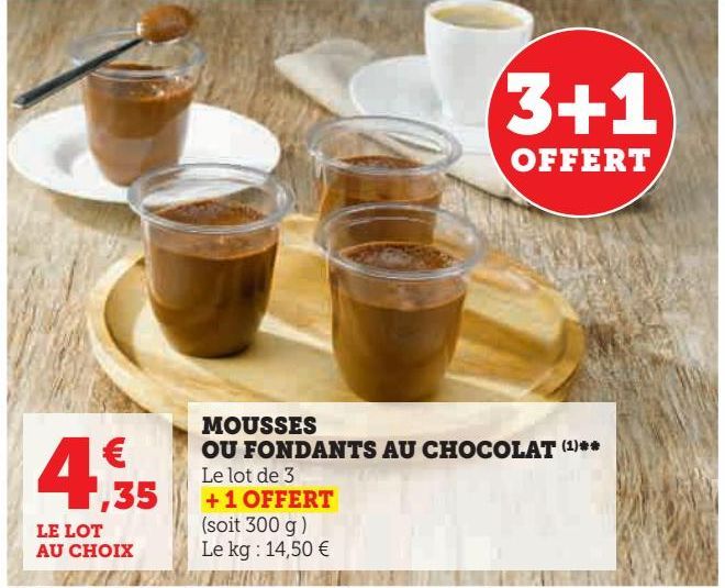 MOUSSES OU FONDANTS AU CHOCOLAT 