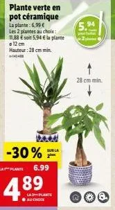 la plante: 6,99 € -30% promo! 5,94 €  + 2 plantes au choix 43485 - h. 12cm/min. 28cm