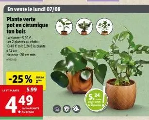 plante en céramique + pot en bois: 4,49€ ! hauteur 20 cm min. lundi 07/08 -25% sur 2
