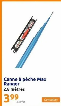 canne à pêche 