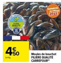 moules Carrefour