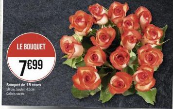 LE BOUQUET  7699  Bouquet de 15 roses 50 cm, bouton 4.5cm Coloris var 