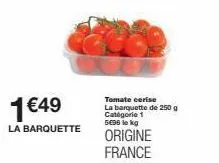 tomate cerise 