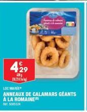 calamars Loc Marée