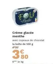 promo slenike : crème glacée menthe avec copeaux de chocolat - 550g pour 4,20€!