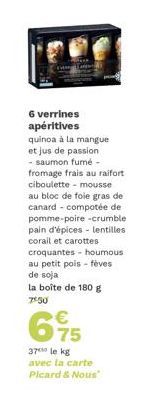 Dégustez l'Excellence des 6 Verrines Quinoa Mango, Saumon Fumé, Ralfort et Foie Gras : Une Vraie Explosion de Saveurs!