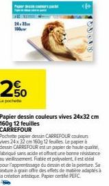 Papier à Dessin CARREFOUR : Couleurs Vives, 24x32cm, 160g, 12 feuilles - Offre Promotionnelle!
