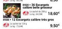 Jusqu'à 75% De Réduction - Escargots Calibre Belle Grosseur & Très Gros - Last & Lcd 129 Lekg!