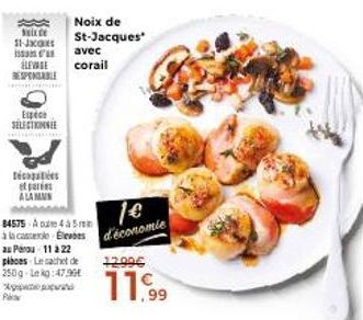 Noix de St-Jacques avec Corail : Promo -11 à 22 Pièces 84575A4 pour 1€ d'Économie!