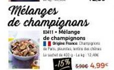 mélange de champignons 