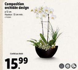 Orchidée Design 12cm - E'uni au Cholr - 15.⁹9⁹ € - Hauteur: 15 cm Min.