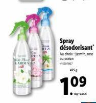 Promotion: Ne-Fonds Arden -45. Spray Désodorisant au Choix: Jasmin, Rose ou Ocean. 3507867, 425 g, 1.0⁹.