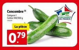 CONCOMBRES DE FRANCE, Cal. 300/500g, 822 pièces à 0.79€/pièce - Promo!