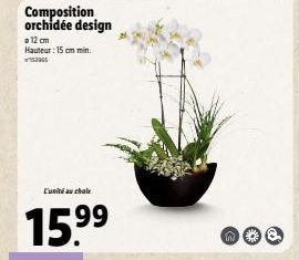 Orchidée Design: Hauteur 15 cm, Unie au Cholr, 15.999 €99 - Offre Spéciale!