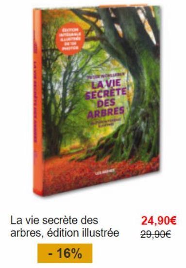 La vie secrète des arbres : édition illustrée, 16% de remise, 24,90€ au lieu de 29,90€ !