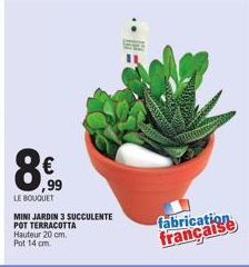 Offre Spéciale : Bouquet de 3 Mini-Jardins Succulentes en Terracotta | 20 cm | 14 cm | Made in France.