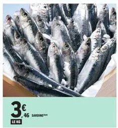 3%  le kg  46 sardine*** 