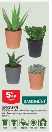 Plantez votre Petit Jardin avec le Cache-pot Céramique Rögle Pleso Rebliritut ! 549 t Promo PM 5947 13cm