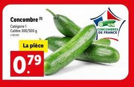 CONCOMBRES DE FRANCE - Calibre 300/500 g - 822 pièces - 0.7⁹ kg - Promotion 79€