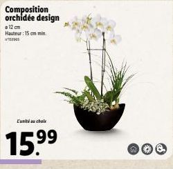 Orchidée Design - 15,9 cm - 15 cm min - seulement 15,999 € !.