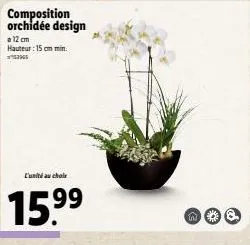 orchidée design: cholr 15.⁹9⁹ | hauteur 15 cm min. | 99€