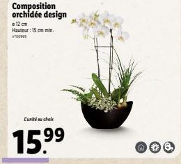 Orchidée Design - Hauteur 15cm - 9.999€ - 15,999€ avec Réduction!