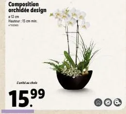 orchidée design - hauteur 15cm - 9.999€ - 15,999€ avec réduction!