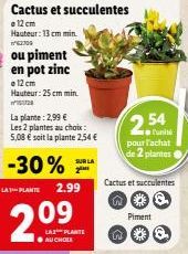 Lot de 2 Cactus/Succulentes &/ou de Piments en Pot Zinc - 12 cm, 13/25 cm | -30% LA P. 2,54€ | 5,08€ pour les 2