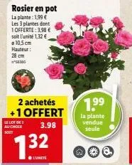 rosier en pot: 2 achetés + 1 offert, 28 cm de hauteur, 1,99€ l'unité!