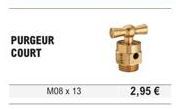 PURGEUR COURT  M08 x 13  2,95 € 