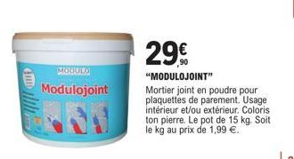 MODULOJOINT : Le Mortier Joint en Poudre au Prix Promotionnel de 1,99€/kg - 15kg Pot pour Plaquettes de Parement Int./Ext. Ton Pierre