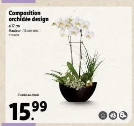 orchidée design 'e'uni au cholr' - 15.999€ | 12 - 15cm hauteur | promo 99€