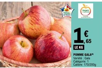 Pomme Gala 1 Catégorie, 170/200g, €65/Kg : Profitez des Vergers !