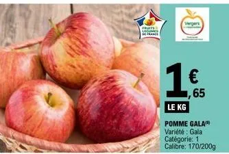 pomme gala 1 catégorie, 170/200g, €65/kg : profitez des vergers !