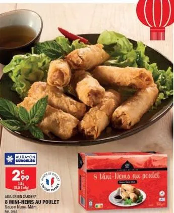 offre spéciale: 8 mini-nems au poulet sauce nước mầm de roure origin, france asia green garden - pmr 2063