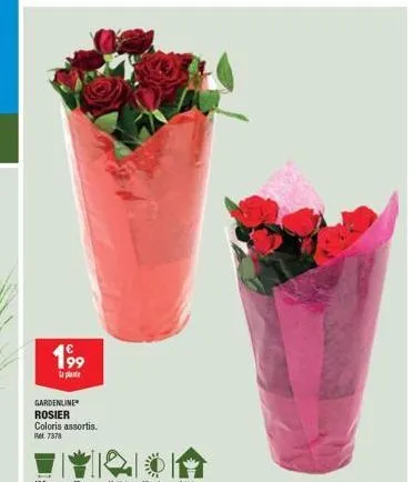 199  gardenline rosier coloris assortis. ret 7378 