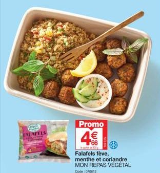 Réduction Spéciale sur les Falafels aux Fèves, Menthe et Coriandre - 488 Falafels pour votre Repas Végétal! Code 070612