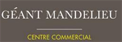 logo Géant Mandelieu